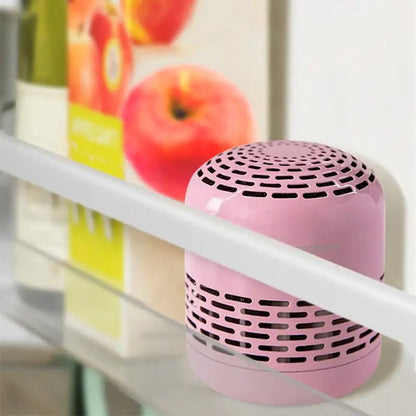 Refrigerator Purifier Ozone Deodorization Egg Sterilization