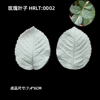 3D Silicone Molds for Leaf and Petal Decorations - Lunqara