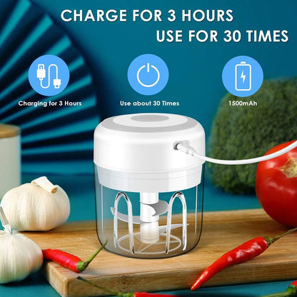Electric 300ML Garlic Press Chopper Chili Onion Fruits Meat Mincer Blender Mixer - Lunqara 