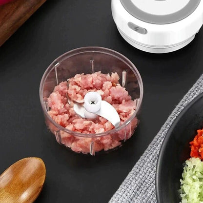 Electric 300ML Garlic Press Chopper Chili Onion Fruits Meat Mincer Blender Mixer - Lunqara 