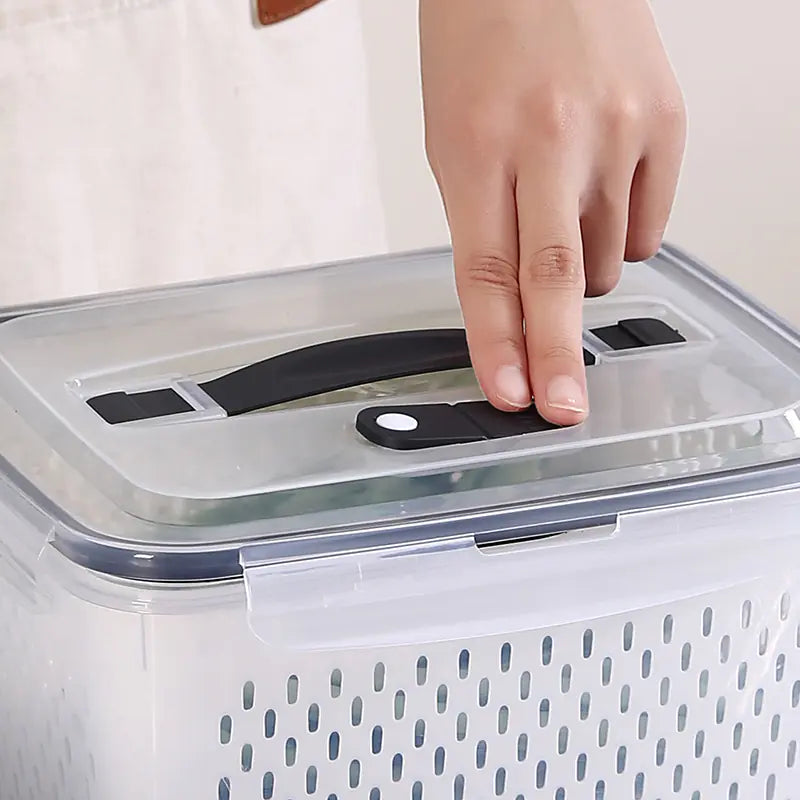 Multi-Functional Fruit and Vegetable Storage Box - Lunqara 
