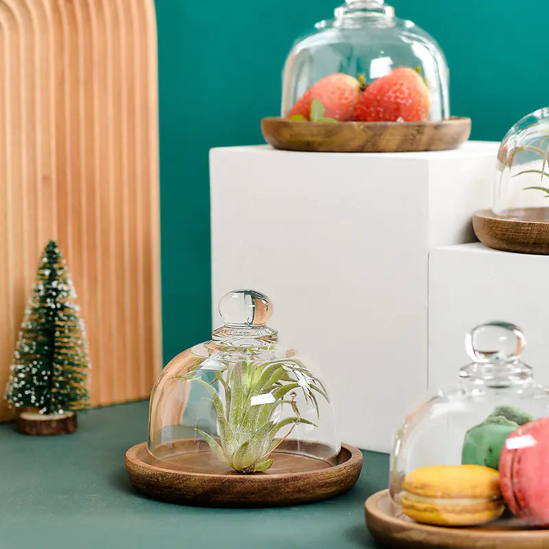 Mini Dessert Display Tray with Glass and Wood Base - Lunqara 